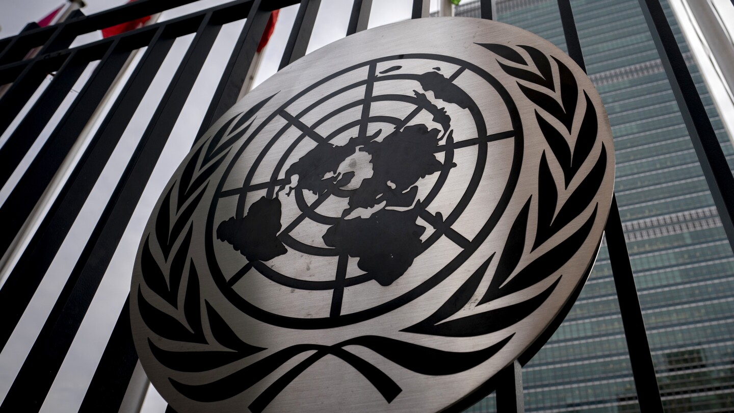 The UN is moving to fight cybercrime but privacy groups say human rights will be violated