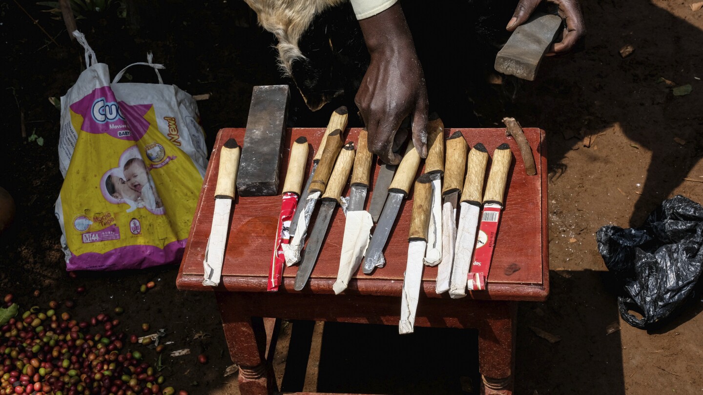 In a remote Ugandan region, a sacred circumcision ritual faces a contentious test of purity