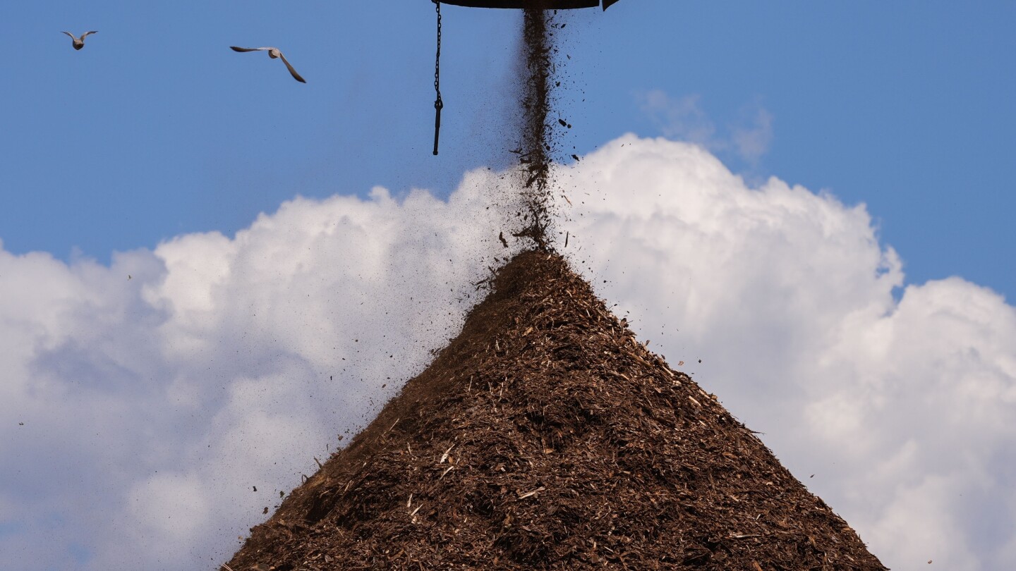 British energy giant reports violating toxic pollutant limits at Louisiana wood pellet facilities