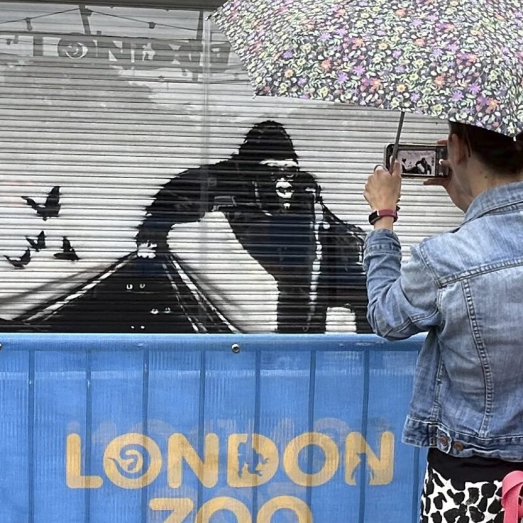 The paint is dry on Banksy’s animal-themed street art that appeared across London over 9 days