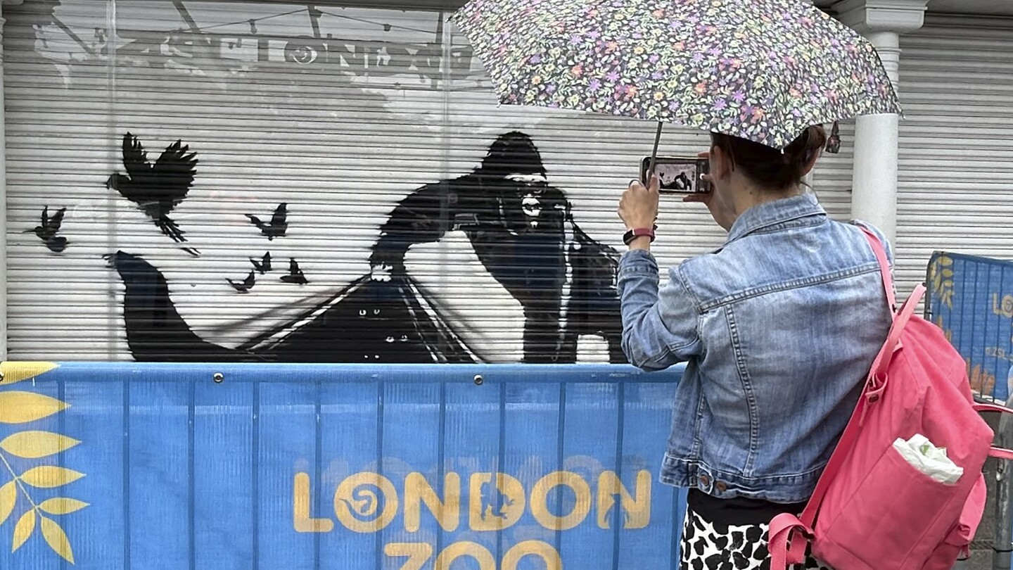 The paint is dry on Banksy’s animal-themed street art that appeared across London over 9 days