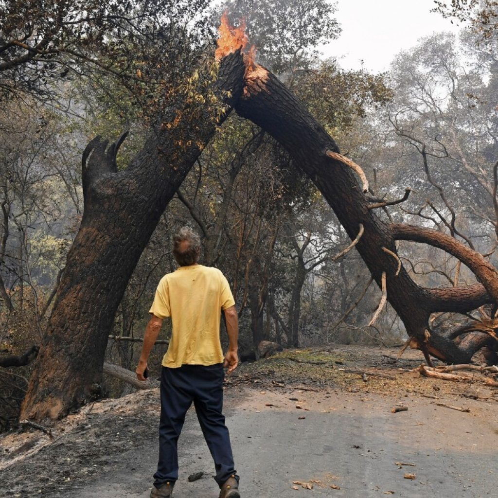 Wildfires are growing under climate change, and their smoke threatens farmworkers, study says