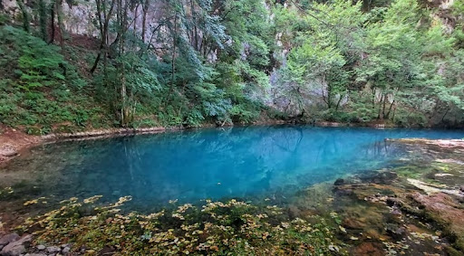 WWF Adrija, Grinpis Hrvatska i Zelena akcija traže da se obustave radovi na vrelu Une