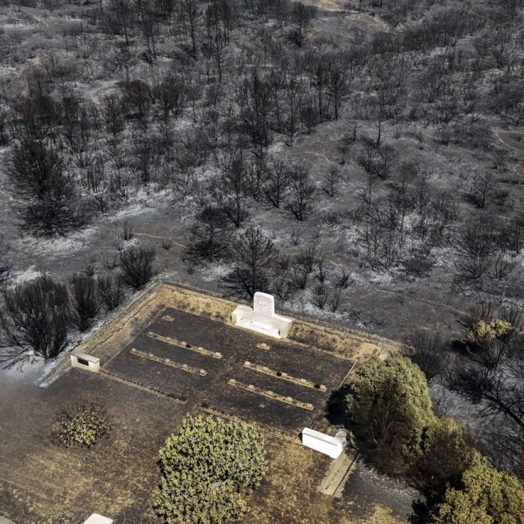 Wildfires rage in western Turkey for a 3rd straight day exacerbated by windy and dry weather