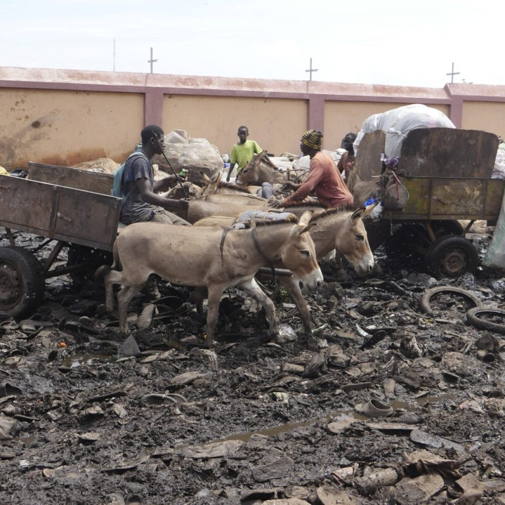 The trash in Mali’s capital is piling up. Donkey carts are coming to help