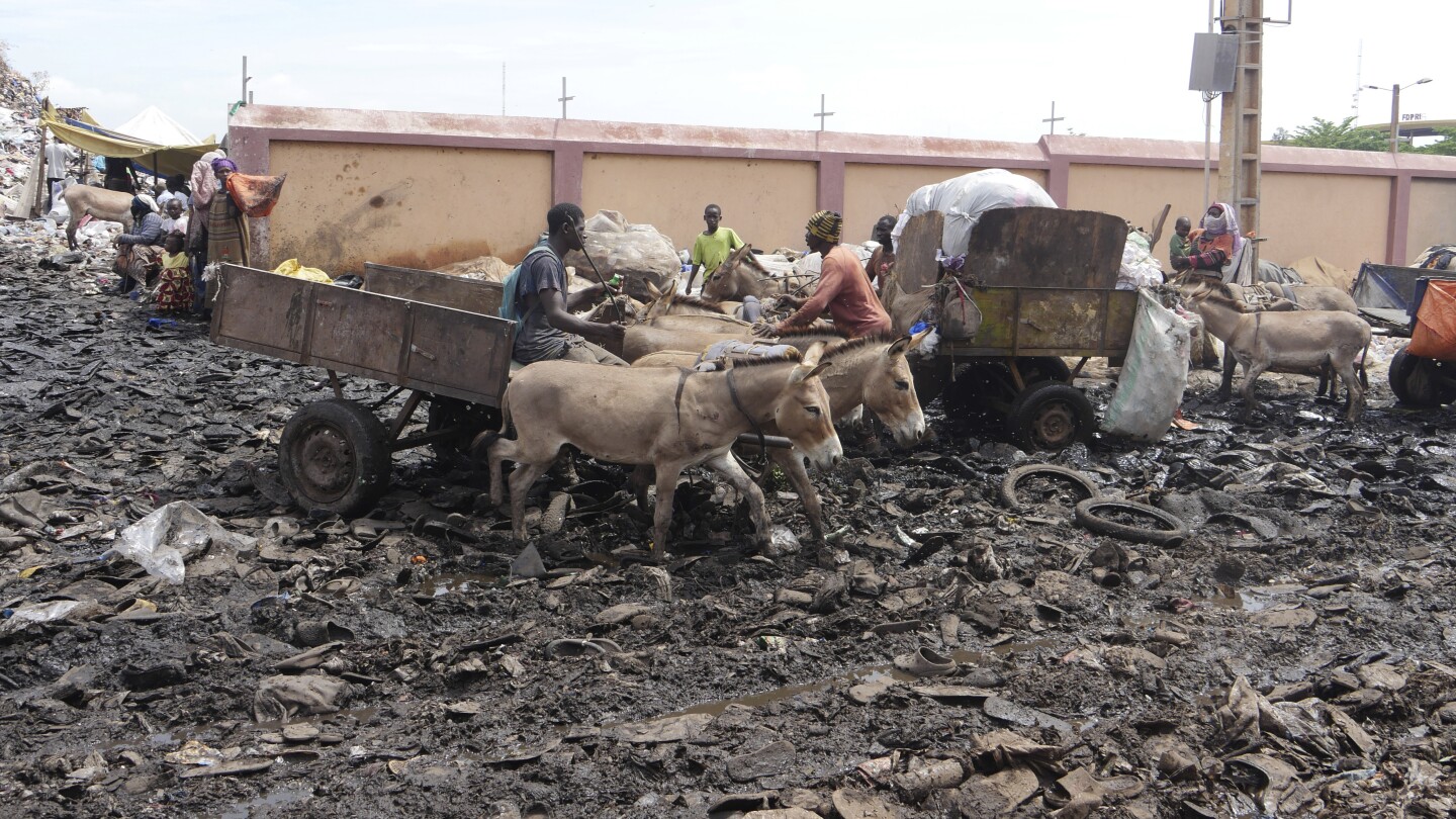 The trash in Mali’s capital is piling up. Donkey carts are coming to help