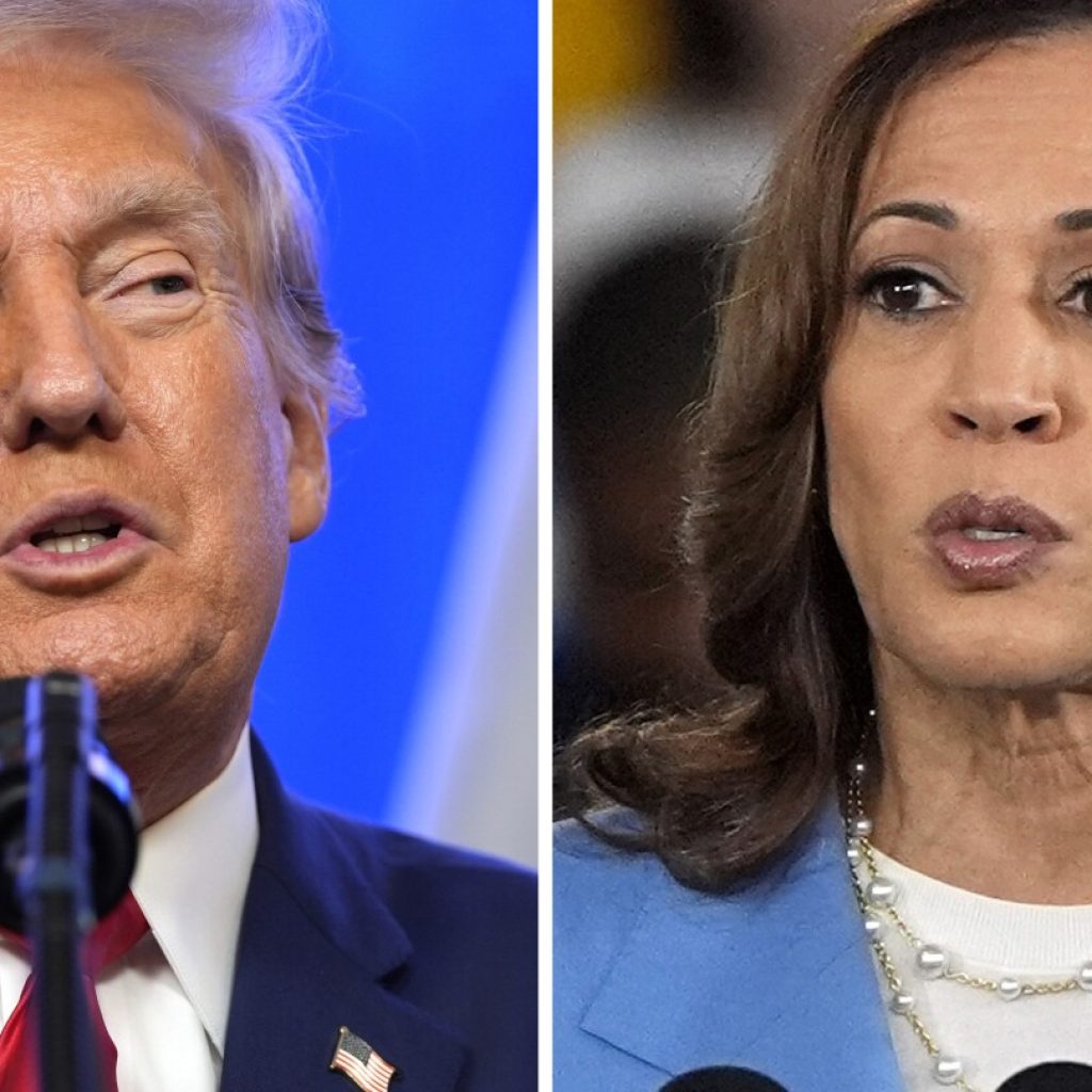 Harris and Trump offer worlds-apart contrasts on top issues in presidential race