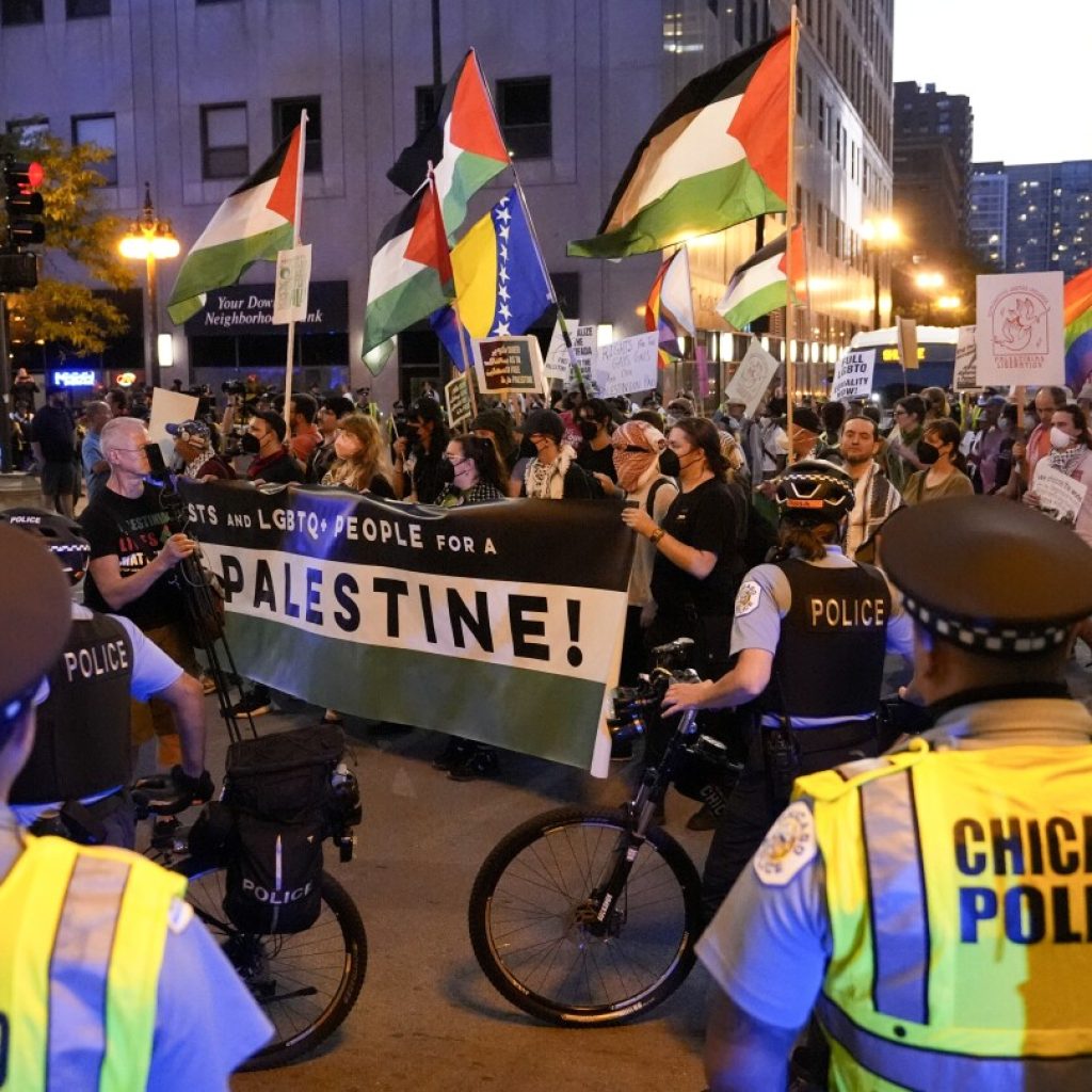 PHOTO COLLECTION: DNC Protests