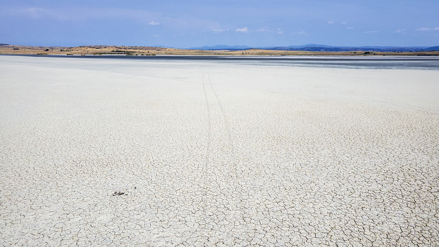 Drying lakes and thirsty trees: In drought-hit Greece, water trucks are keeping crops alive