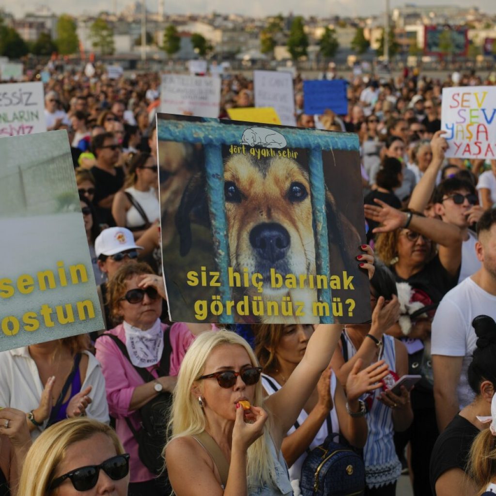 Thousands of Turks protest controversial law to remove stray dogs