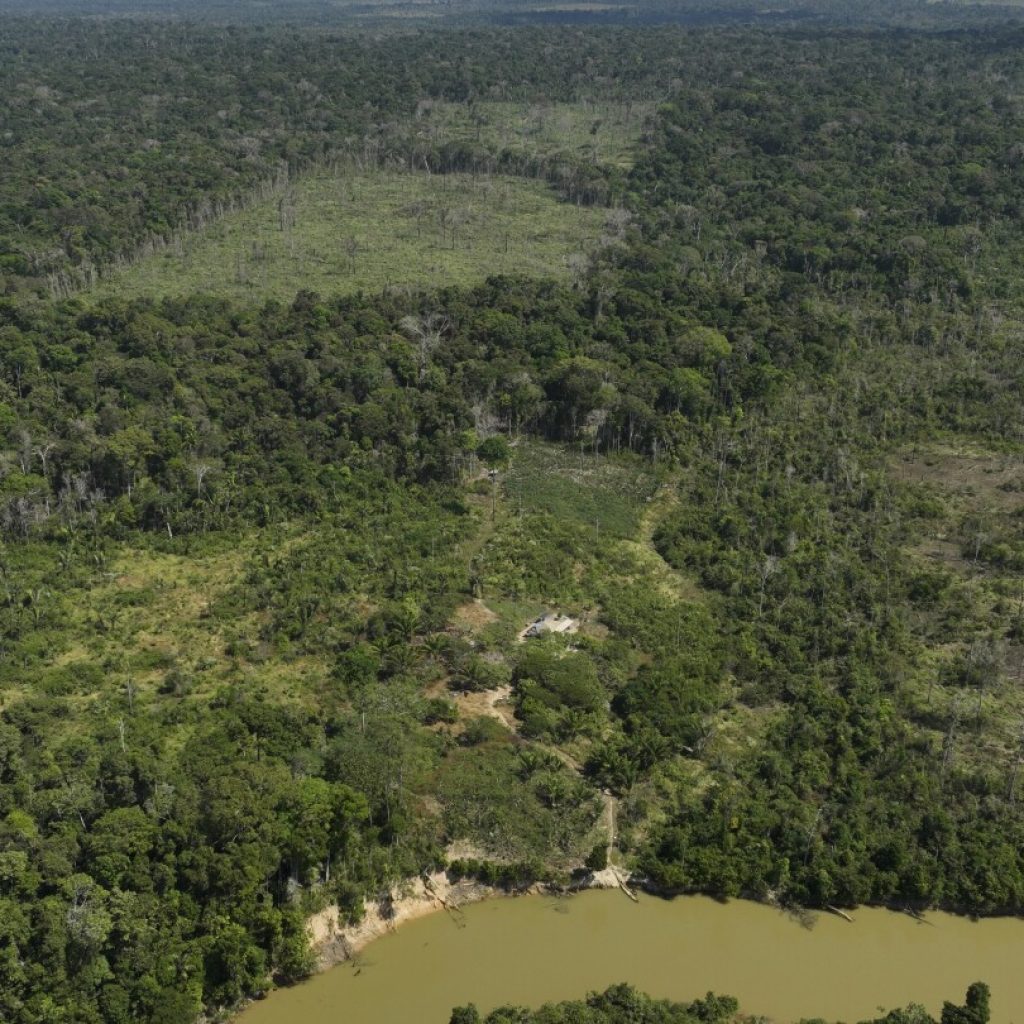 Judge in Brazil orders slaughterhouses to pay for Amazon reforestation