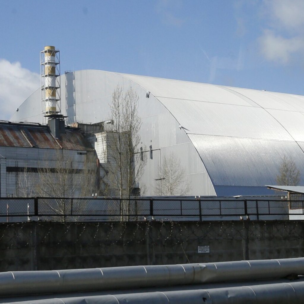 Mushrooms foraged in Sweden could help research Chernobyl radioactive fallout