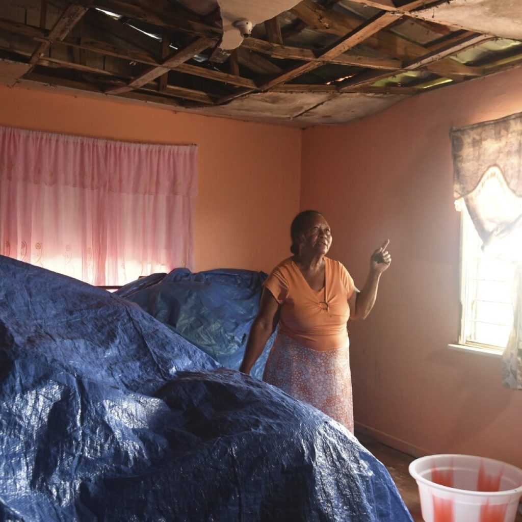 Jamaica’s female farmers rebuild after Hurricane Beryl through women-led cash voucher program