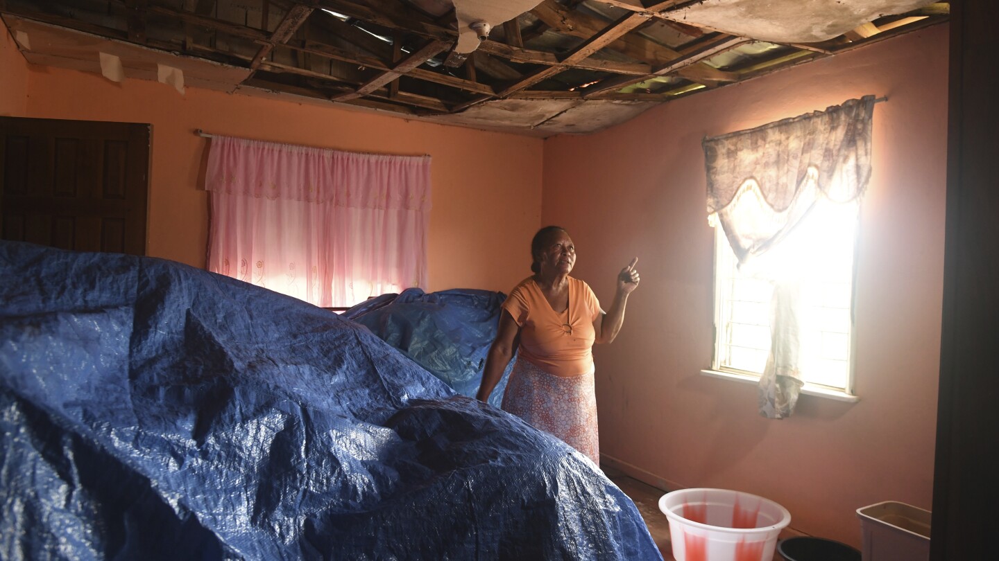 Jamaica’s female farmers rebuild after Hurricane Beryl through women-led cash voucher program