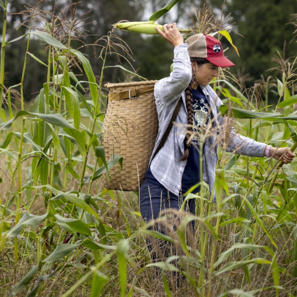 Spring rains destroyed a harvest important to the Oneida tribe. Farmers are working to adapt