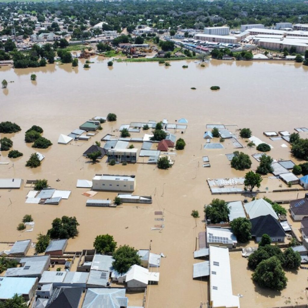 Dam collapse in Nigeria sweeps deadly reptiles into flooded communities