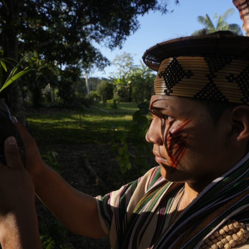 Takeaways from AP’s story on the Ashaninka tribe’s reforestation model in the Brazilian Amazon