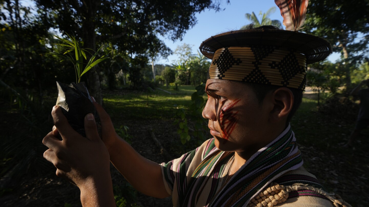 Takeaways from AP’s story on the Ashaninka tribe’s reforestation model in the Brazilian Amazon