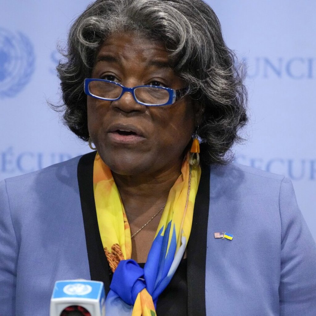 US backs 2 permanent seats for African nations on the UN Security Council