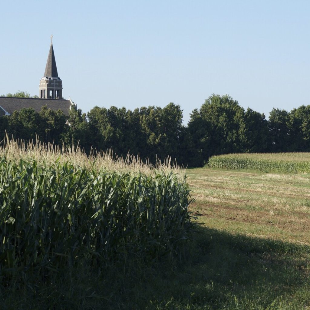 Lutherans in Walz’s Minnesota put potlucks before politics during divisive election season