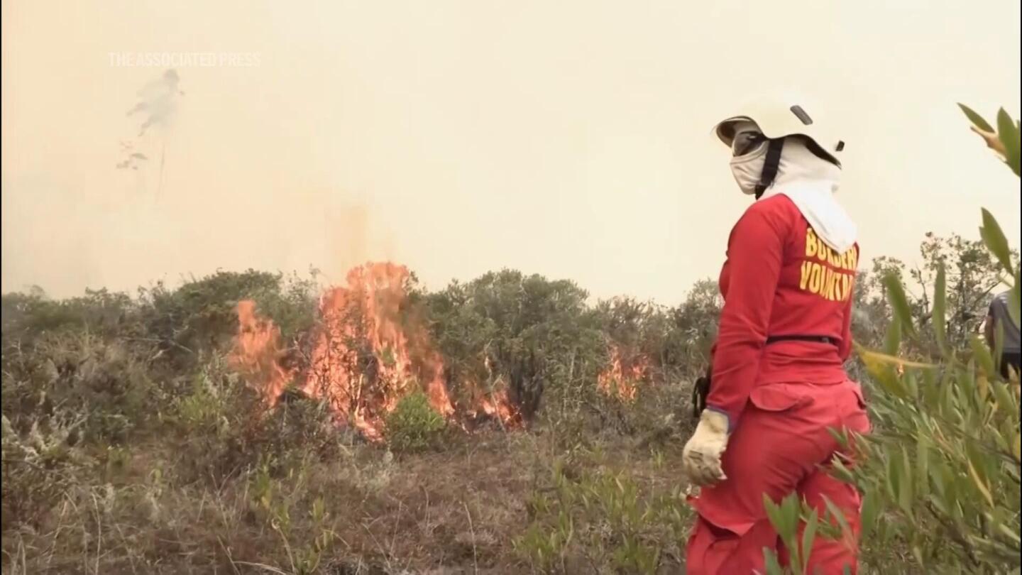 Forest fires in Peru leave 15 dead and more than 3,000 hectares scorched by flames | AP News