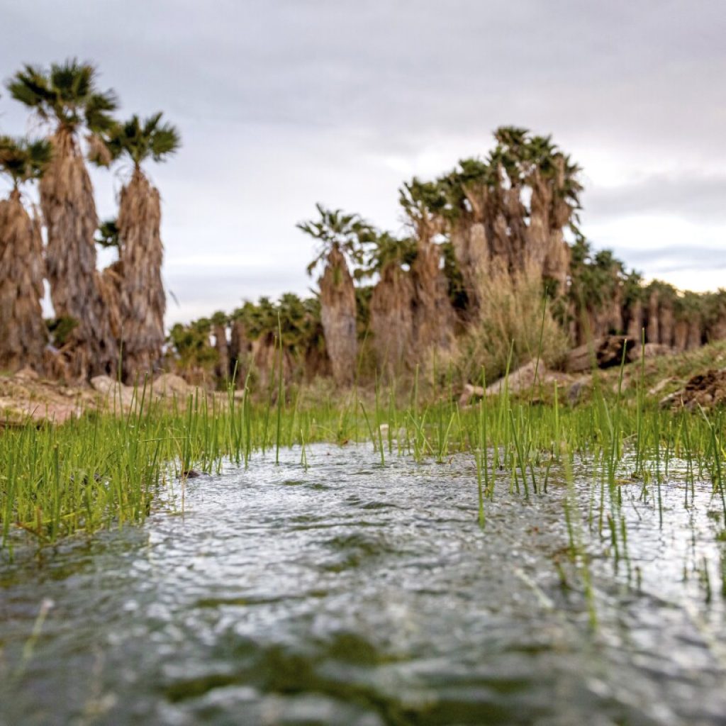 Arizona tribe fights to stop lithium drilling on culturally significant lands