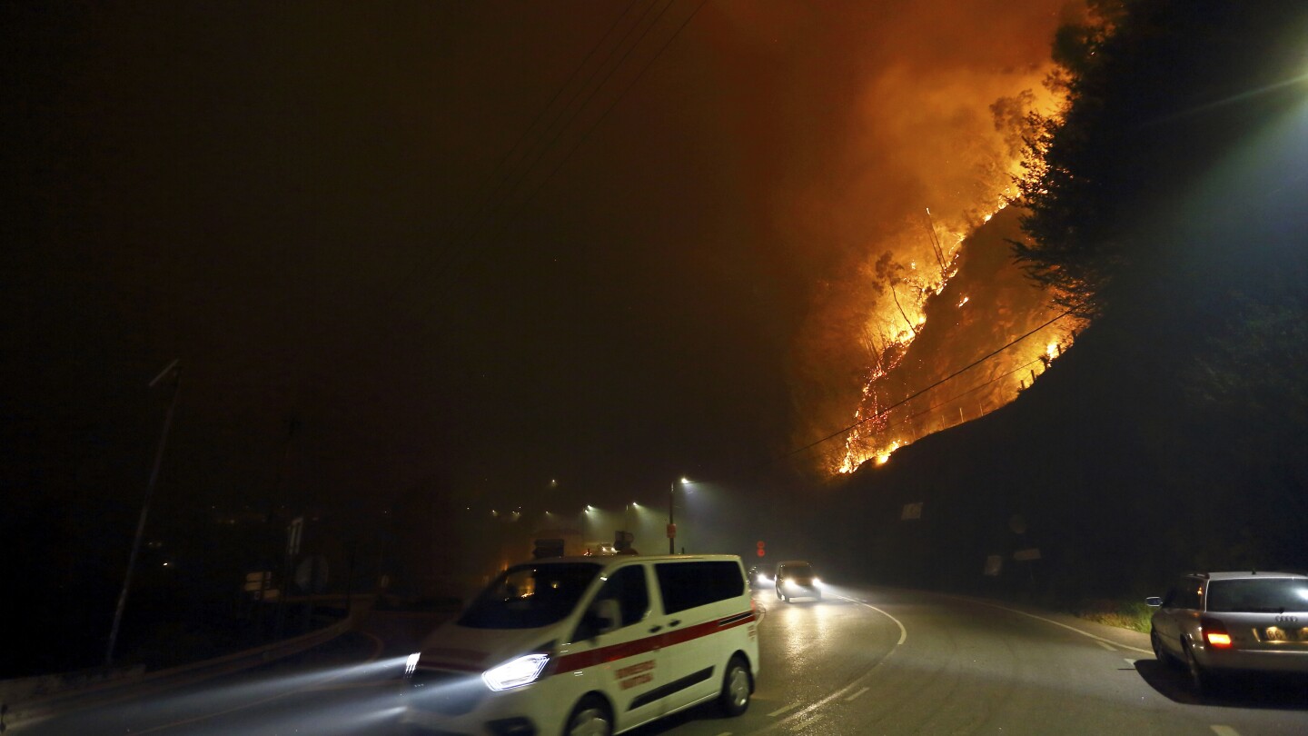 Portugal declares a state of calamity as wildfires rage out of control