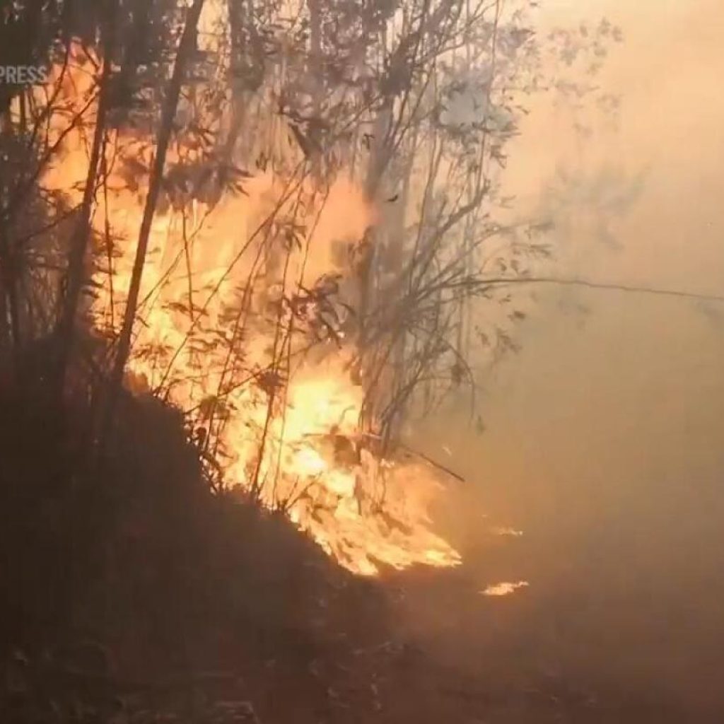 Portugal mobilizes thousands of firefighters to tackle wildfires after state of calamity declared | AP News