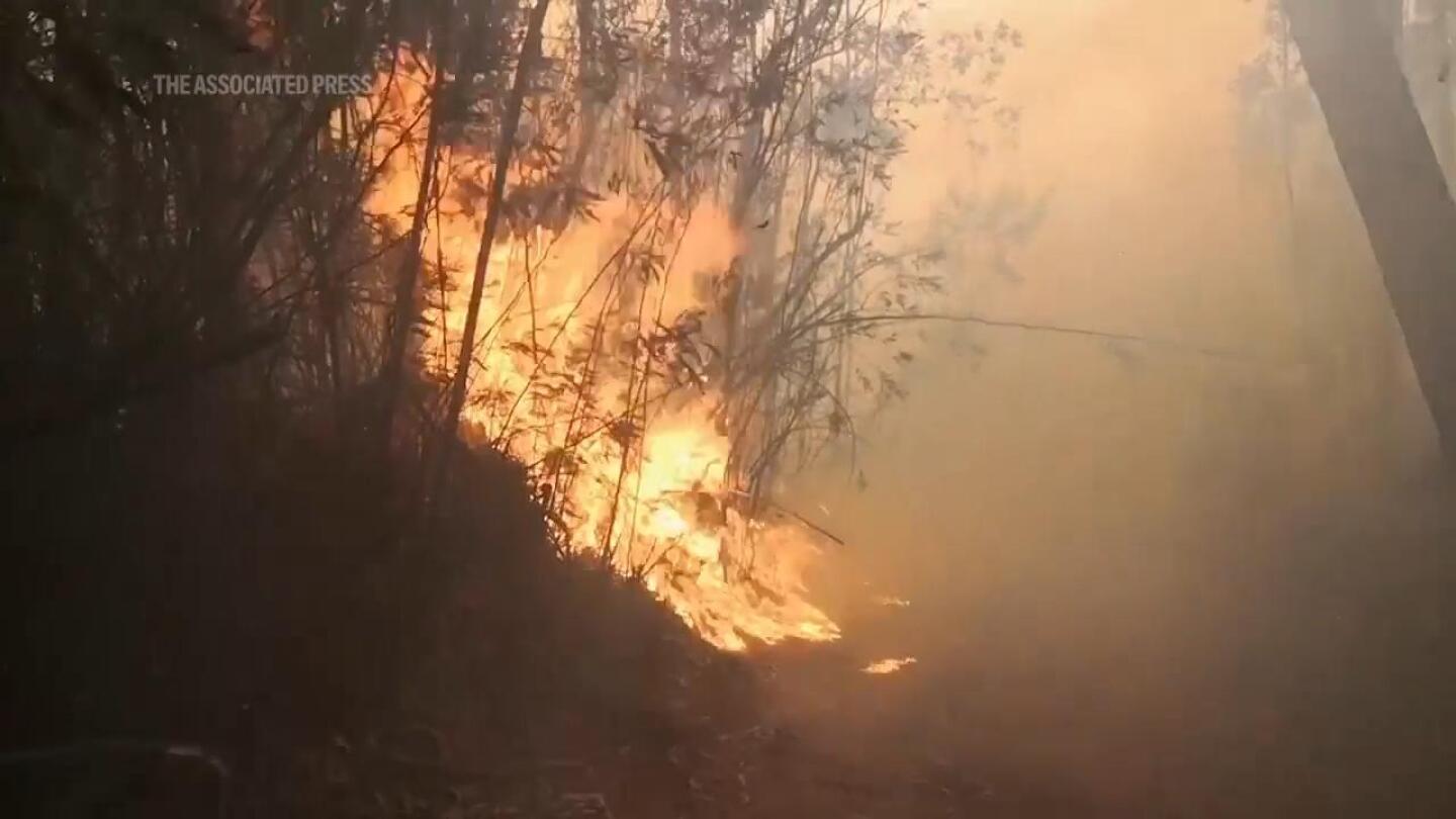 Portugal mobilizes thousands of firefighters to tackle wildfires after state of calamity declared | AP News