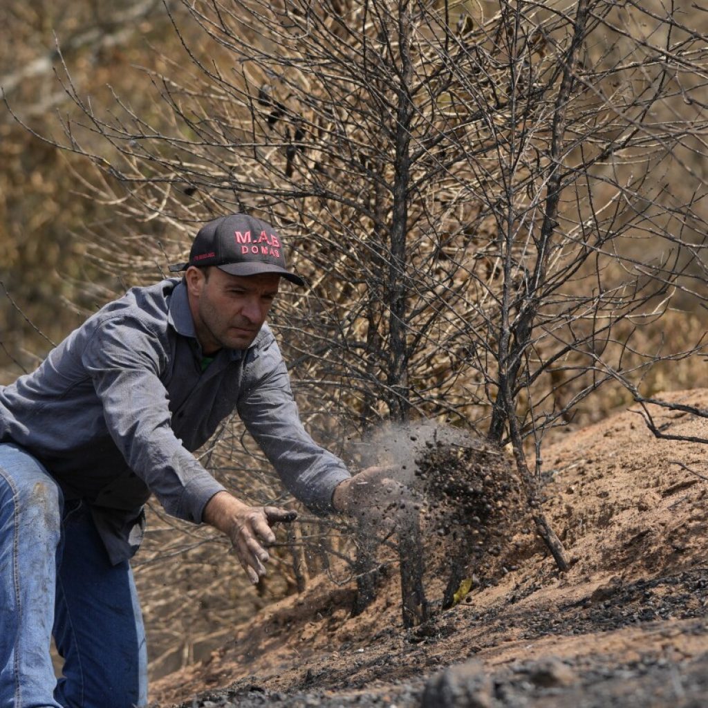 Brazil drought punishes coffee farms and threatens to push prices even higher