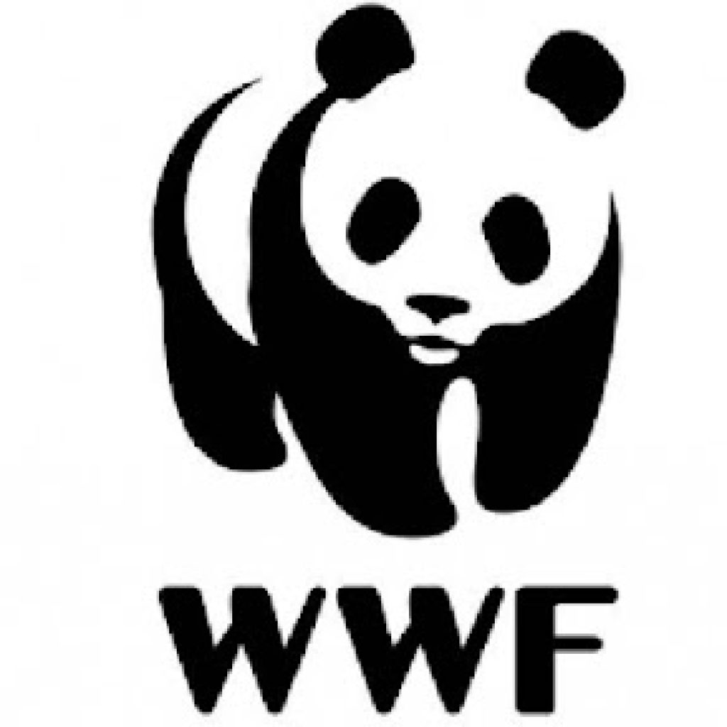 WWF: Izgradnja dve bugarsko-rumunske hidrocentrale na Dunavu opasna po prirodu i ljude