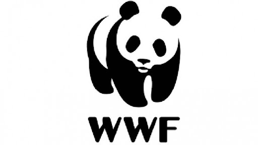 WWF: Izgradnja dve bugarsko-rumunske hidrocentrale na Dunavu opasna po prirodu i ljude