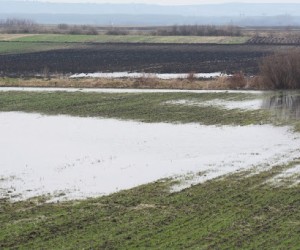 Meštani nekoliiko sela u opštini Knić protive se geološkim istraživanju kanadske firme Mundoro